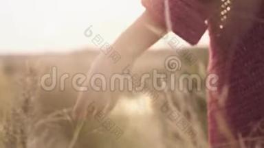 年轻女子的手走过荒野的草地。 女手摸野花特写.. 夏季概念。 慢慢慢慢